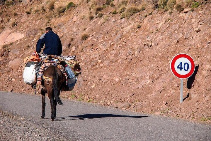 Ourika Valley Waterfalls & Berber Villages Day Trip from Marrakech photo 6