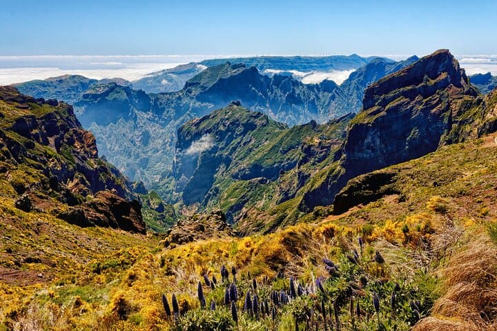 East Madeira Guided Tour & Balcões Levada Walk — Pico do Areeiro to Santana