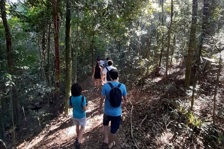 Tijuca National Park Trails: Waterfalls, Ruins & Urban Rainforest Hike photo 4