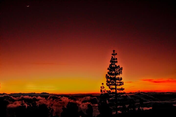 Self-Drive Tenerife Sunset & Stargazing Tour with Dinner at Pico Viejo photo 4