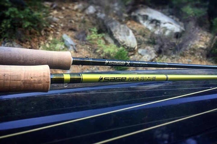 Private Full-Day Fly Fishing in Yosemite: Guided Walk-and-Wade Adventure photo 4