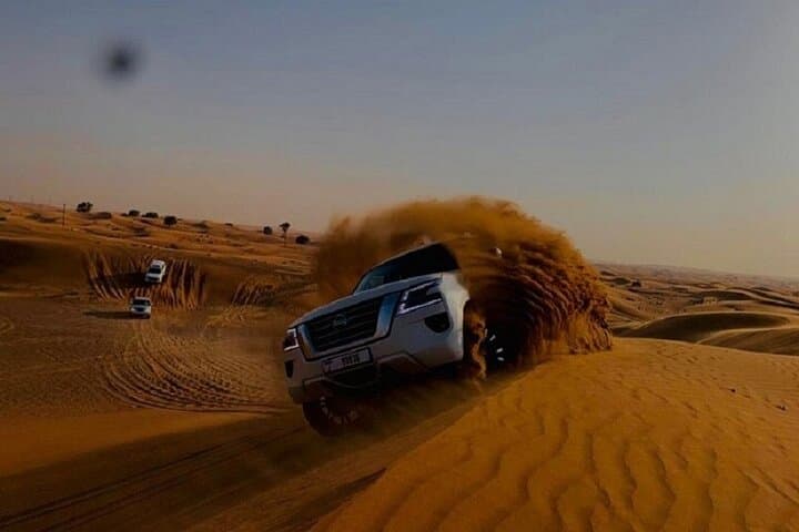 Private Evening Desert Safari Dubai — Camel Rides, Falcon Photos & Premium BBQ at Lahbab Dunes photo 4