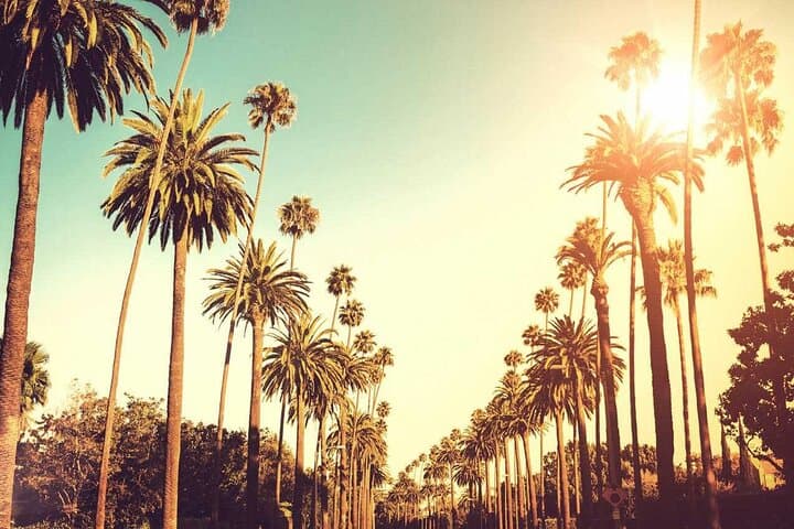 Exploring West LA’s Coastal Highlights: A 3.5-Hour Private West Side Story Tour photo 4
