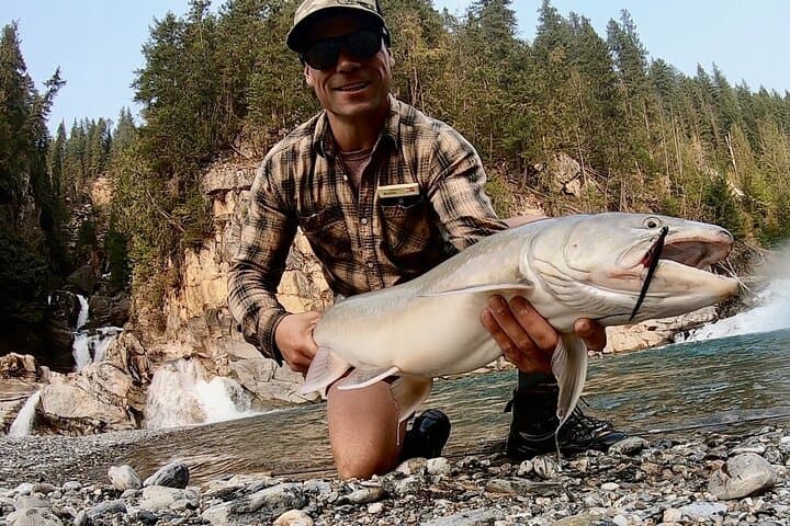 Half-Day Walk & Wade in the Columbia River Valley: Guided Shore Fishing and Casting Lessons