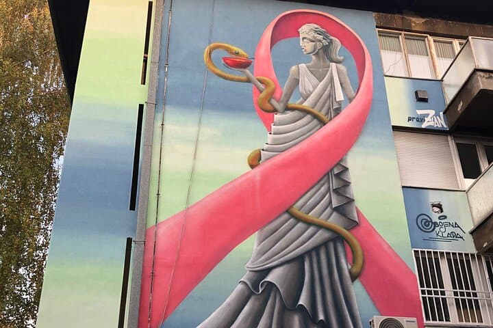 Sarajevo Street Art Walking Tour — sARTajevo Murals, History & Hidden Walls photo 4
