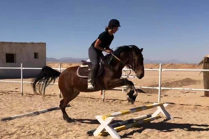 Hurghada Horse Riding: Red Sea Beach & Desert Horseback Tour