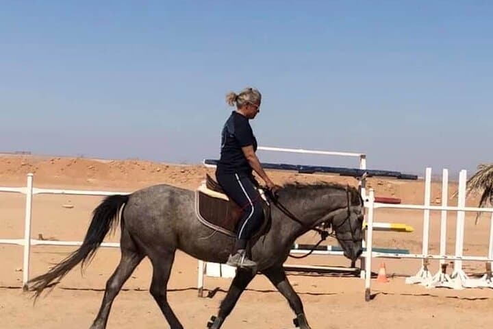 Hurghada Horse Riding: Red Sea Beach & Desert Horseback Tour photo 3