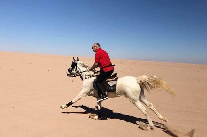 Hurghada Horse Riding: Red Sea Beach & Desert Horseback Tour photo 5