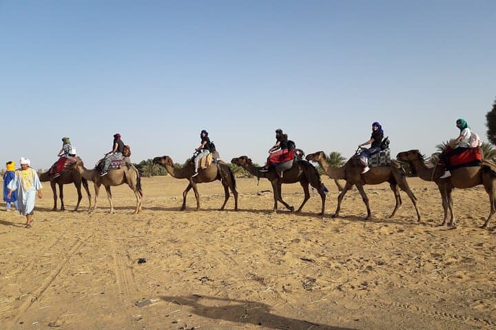 Zagora 2-Day Private Sahara Tour from Marrakech — Camel Ride & Nomad Camp