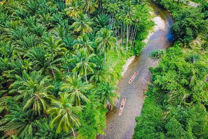 Bamboo Rafting & Sea Turtle Conservation: Half-Day Khao Lak River Tour photo 2