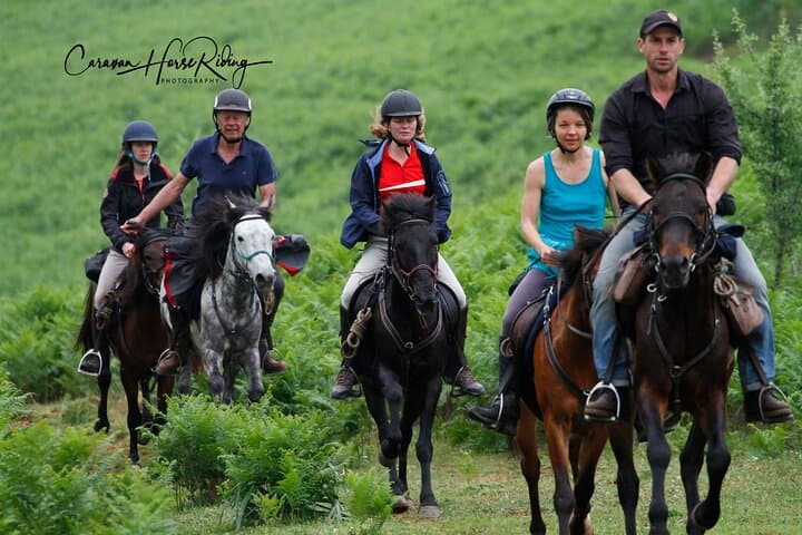 2-Hour Drino Valley Guided Horseback Ride from Gjirokastër