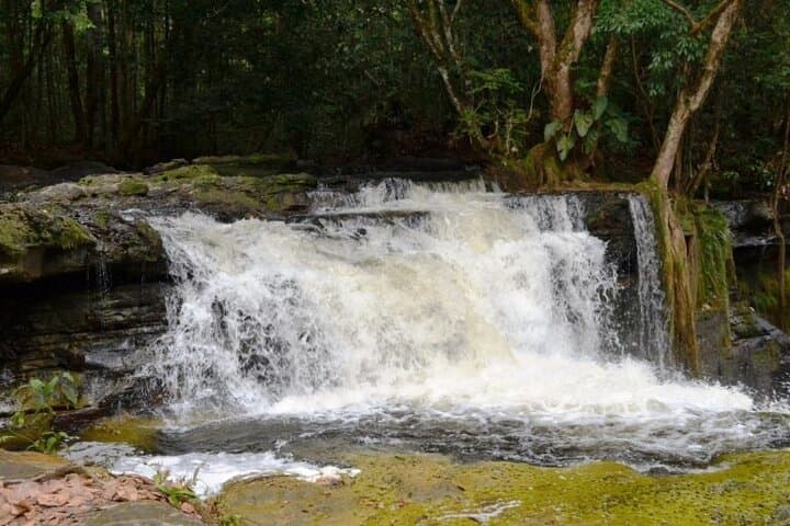Chasing Waterfalls: A Day Exploring Presidente Figueiredo's Cascades from Manaus photo 6