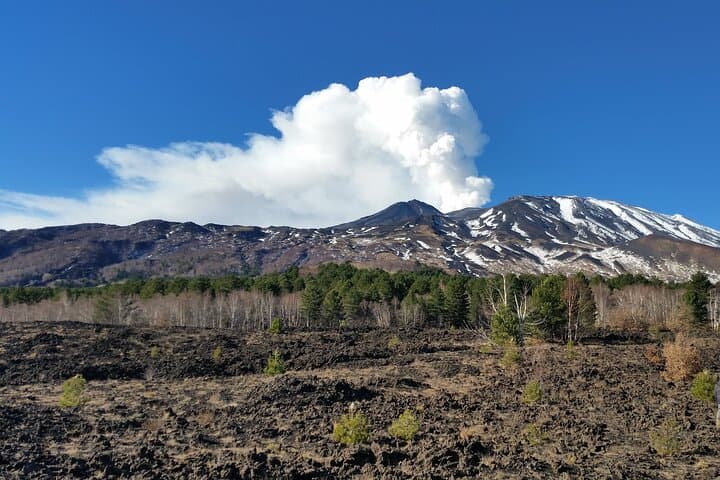 Etna Family Tour: Guided Hike to Side Craters on Mount Etna