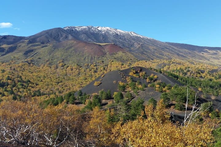 Etna Family Tour: Guided Hike to Side Craters on Mount Etna photo 2
