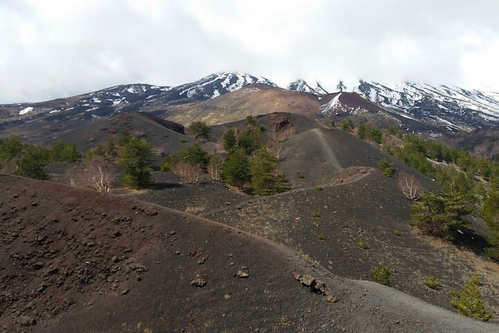 Etna Family Tour: Guided Hike to Side Craters on Mount Etna photo 4