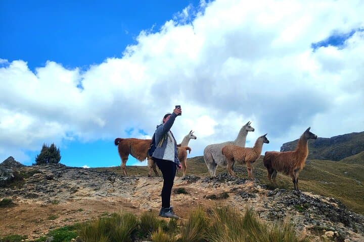 Cajas Unveiled: Half-Day Hike from Cuenca to Polylepis Forest photo 3