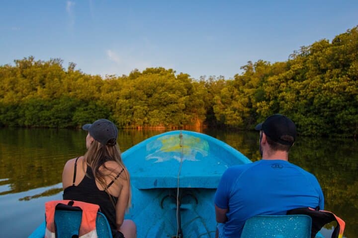 Birdwatching at Manialtepec Lagoon Near Puerto Escondido photo 2