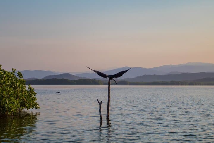 Birdwatching at Manialtepec Lagoon Near Puerto Escondido photo 3
