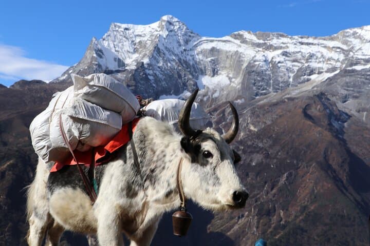 Conquering Everest Base Camp: 14-Day Trek Guide from Lukla photo 5