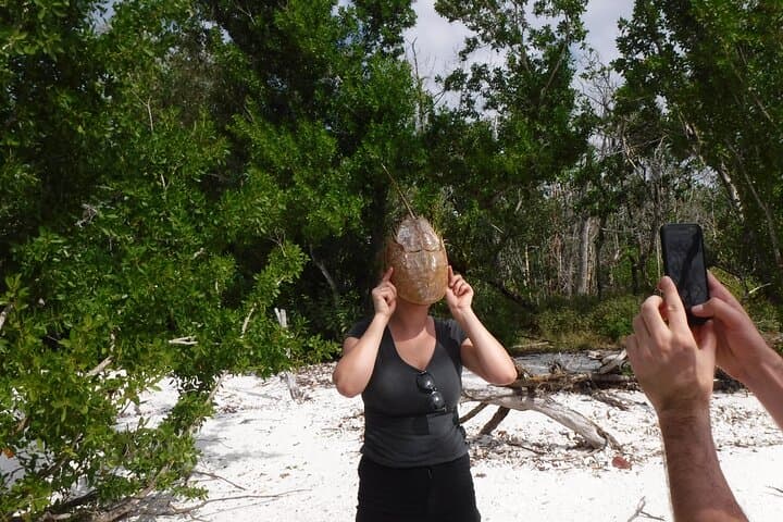 10,000 Islands Boat Excursion: 3.5-Hour Dolphins, Shelling & Cape Romano Tour photo 6