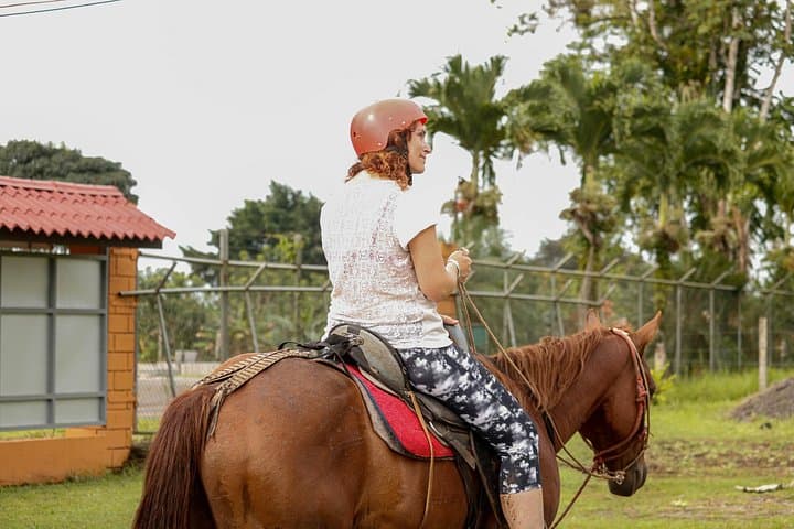 Horseback Riding to Rio Celeste: River-Shore Trails & Wildlife Near La Fortuna photo 4