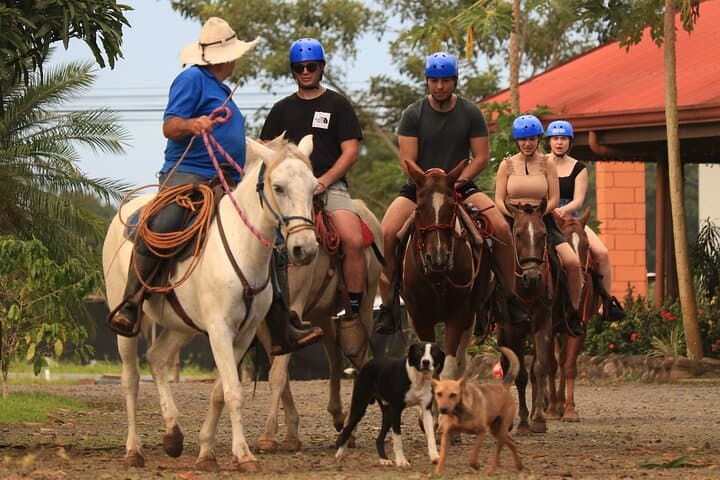 Horseback Riding to Rio Celeste: River-Shore Trails & Wildlife Near La Fortuna photo 2