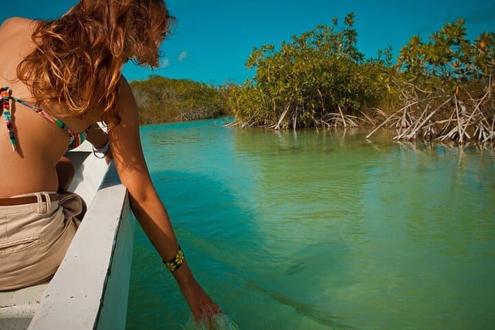 Float the Ancient Mayan Canals of Sian Ka’an: A Quiet Waterway Expedition from Tulum photo 3