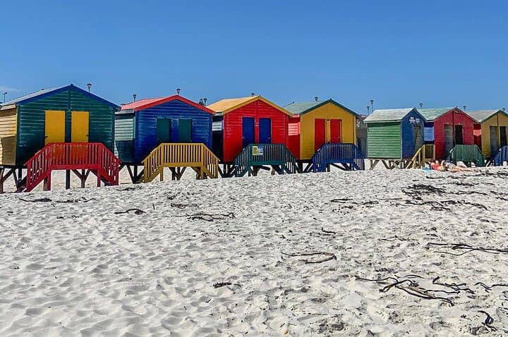 Cape Point, Penguins & Constantia Wine: Full-Day Cape Peninsula Tour photo 6