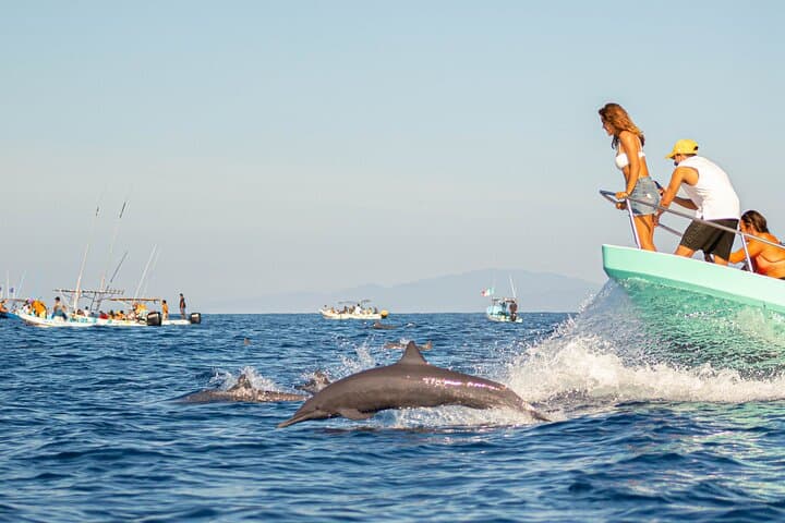 Puerto Escondido Dolphin Watching Cruise — 3‑Hour Marine Wildlife Experience