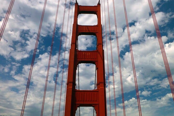 Half-Day Muir Woods and Sausalito Tour — Golden Gate, Redwoods & Coastal Views photo 4