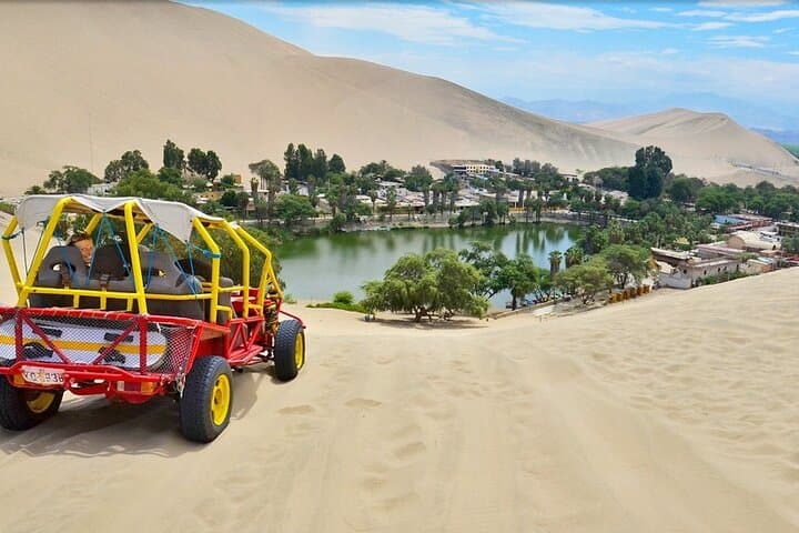 Paracas & Huacachina Day Trip from Lima: Ballestas Islands, Vineyard Tour & Sunset Sandboarding photo 6