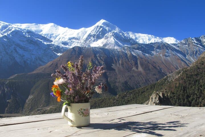 15-Day Annapurna Circuit Trek: Thorong La, Muktinath & Poon Hill Adventure photo 6