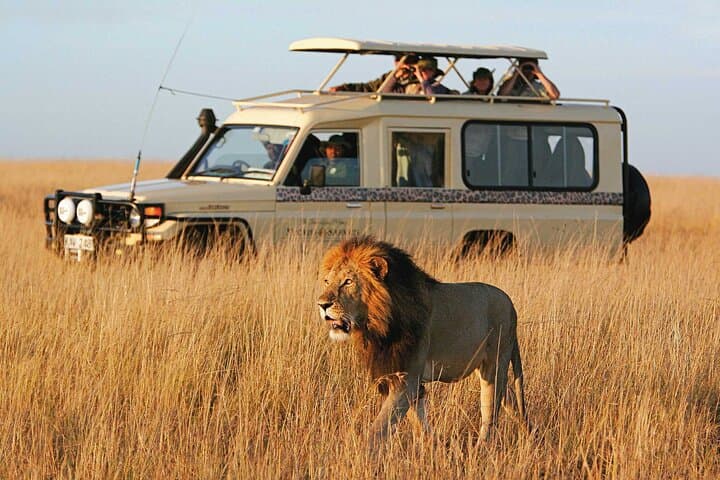 10-Day Tanzania Safari and Zanzibar Beach Tour — Serengeti Great Migration & Spice Island