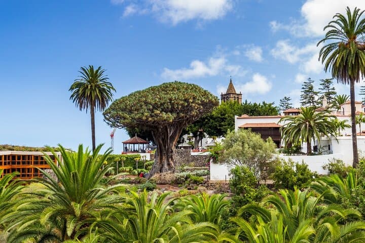 Private Excursion to Masca, Garachico & Icod — Day Tour from Tenerife