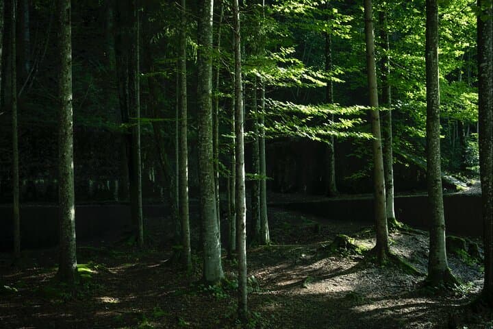 Obersalzberg WWII Private Half‑Day Tour from Berchtesgaden photo 3