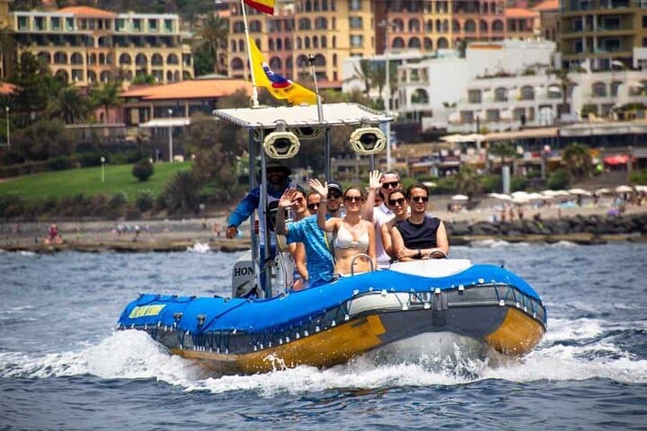 Private Sea Safari: Dolphin & Whale Watching with Snorkeling off Tenerife photo 2