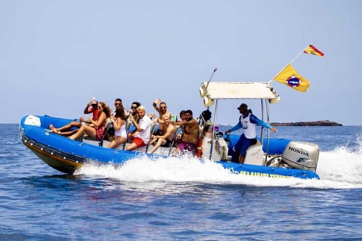 Private Sea Safari: Dolphin & Whale Watching with Snorkeling off Tenerife photo 5