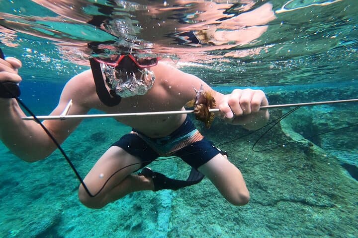 Spearfishing in Chania, Crete — Guided Freediving, Catch & Grill Experience photo 2