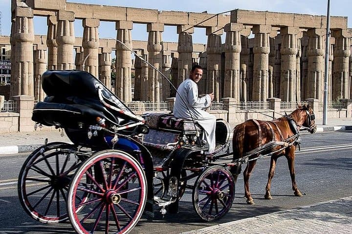 Luxor Horse Carriage Tour Along the Nile Corniche — 2‑Hour Cultural Ride photo 2