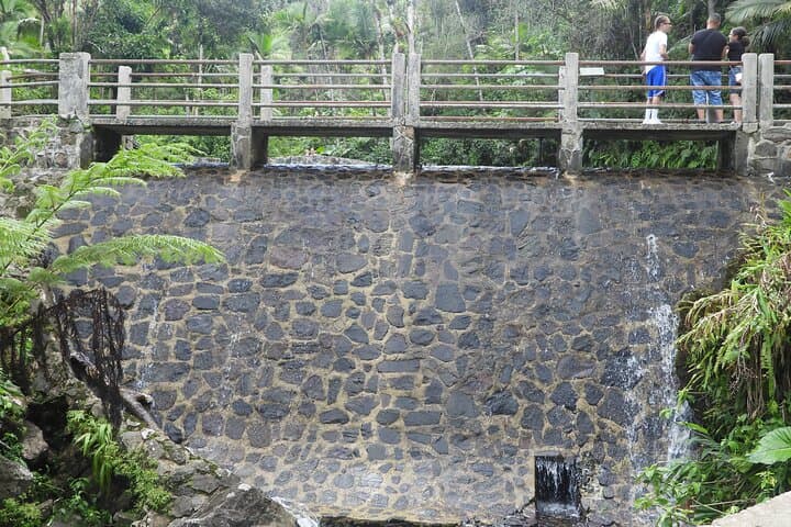 El Yunque National Forest & Luquillo Beach Tour — Rainforest Hike, Waterfalls and River Swim photo 5