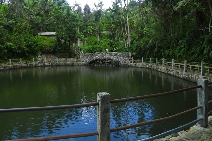 El Yunque National Forest & Luquillo Beach Tour — Rainforest Hike, Waterfalls and River Swim photo 6