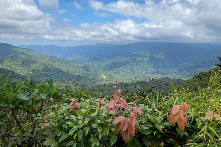 Arenal Volcano One-Day Tour from Guanacaste: Hikes, Waterfalls & Hot Springs photo 2
