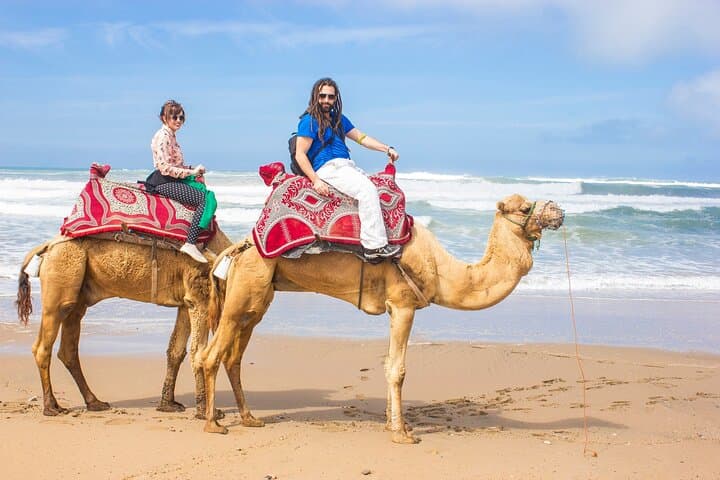 Taghazout to Agadir Camel Ride: 2-Hour Beach & Mountain Camel Trek with Transfers photo 3