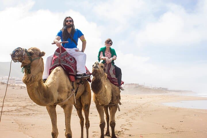 Taghazout to Agadir Camel Ride: 2-Hour Beach & Mountain Camel Trek with Transfers photo 4