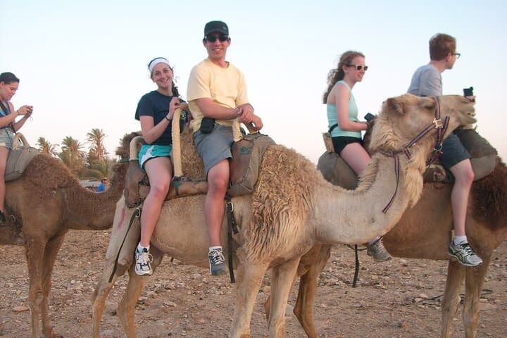 Taghazout to Agadir Camel Ride: 2-Hour Beach & Mountain Camel Trek with Transfers photo 6