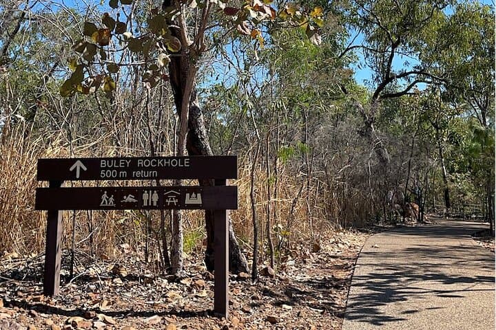 Litchfield & Berry Springs VIP Day Tour: Waterfalls, Swimming Holes & Magnetic Termite Mounds photo 3
