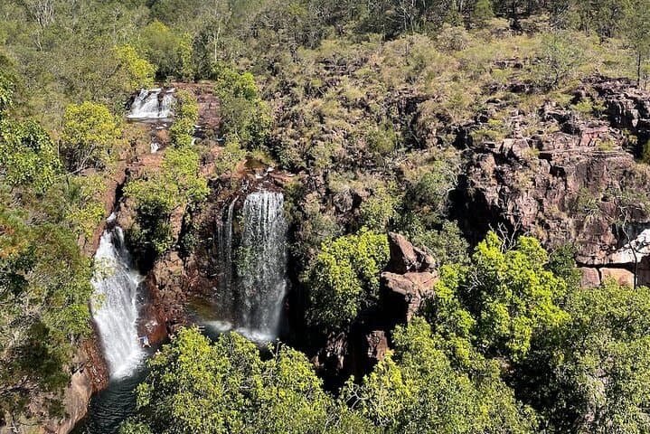 Litchfield & Berry Springs VIP Day Tour: Waterfalls, Swimming Holes & Magnetic Termite Mounds photo 4