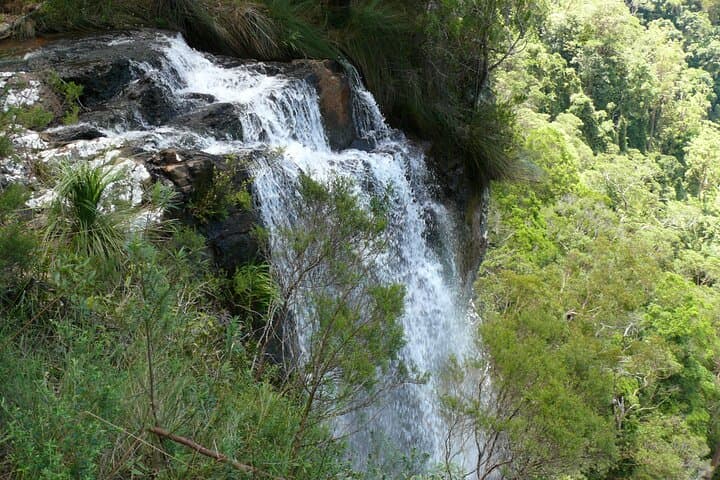 Gold Coast Hot Air Balloon Ride + Springbrook National Park Day Tour with Champagne Breakfast photo 5