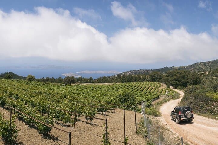 Rhodes North Safari: Hidden Paths, Fossils & Summit Views photo 2