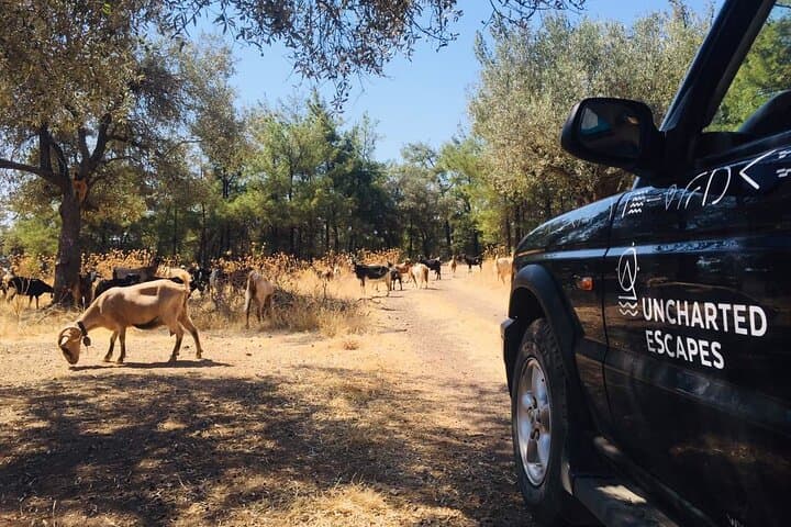 Rhodes North Safari: Hidden Paths, Fossils & Summit Views photo 4